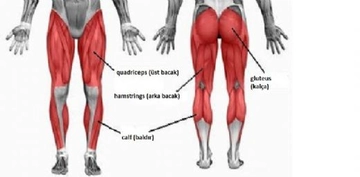 Üst Baldır İnceltme